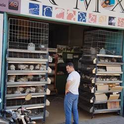 Chicken shops