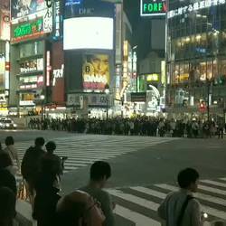 Shibuya Crossing... Einfach nur erstaunlich den Massen zuzusehen.