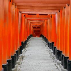 Fushimi-Inari Shrine Kyoto, Japan