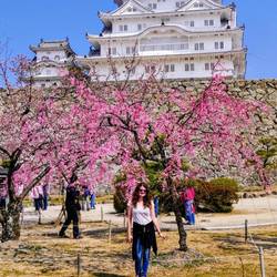Himeji Castle, Japan