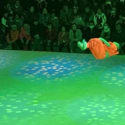 Kung fu demo