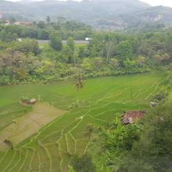 Zugfahrt Bandung-Jakarta