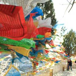 Tibetische Gebehtsfahnen