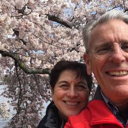 Washington's cherry blossom was breathtaking