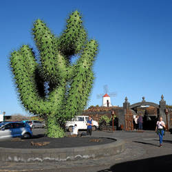 Der Eingang zum Jardín de Cactus