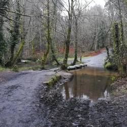 Der Regen lässt noch immer die Wege voll laufen und man darf lustig ueber Steine ans andere hüpfen