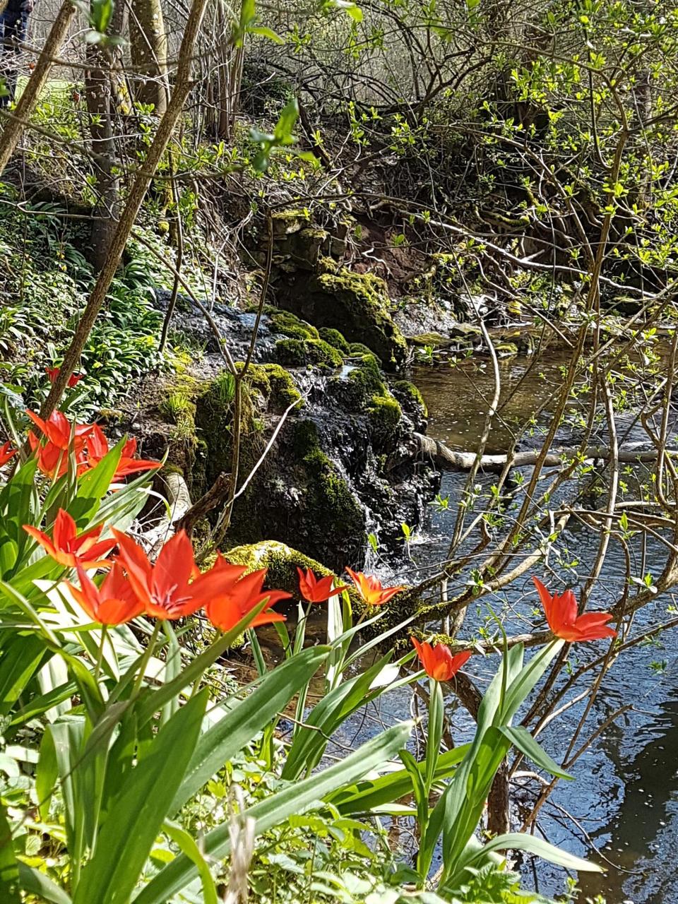 Wasserfall am Kirbach am 11.04.2018