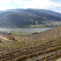 The Douro River Valley
