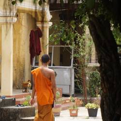 Un jeune moine au monastère.