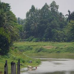 Aux abords de la rivière.