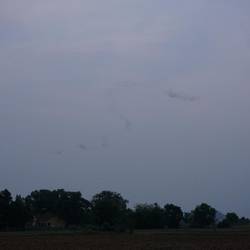 Traînée de petites bêtes volantes.