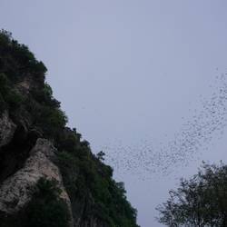 Des milliers la minute!