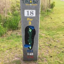 Nice granite markers. So glad to get to the 18th hole!