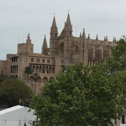 Palma Cathedral