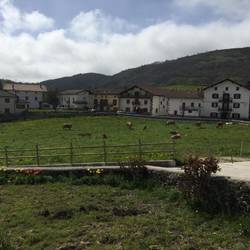 What should we put in the town square? How about some cows! Gerendiain...