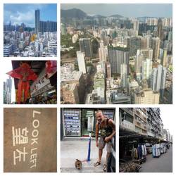 Blick vom Bett u.Olympusshop,Hinweise zum Überqueren der Straße, geparkte Katze, Straße nur mit Shops für Stof