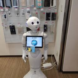 Robi🤖