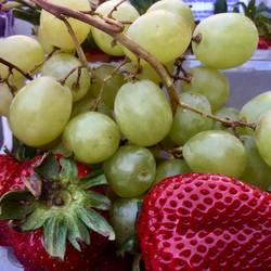 Some Californian fruit