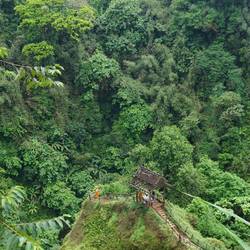 Monks chasing waterfalls just like us.