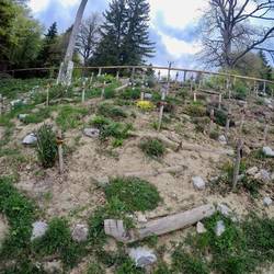 Gemüsebeet an der Berghütte