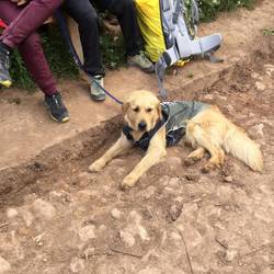 This is Sam! He is from Italy. He is walking the Camino as well!