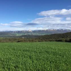 A view from my office today!