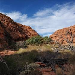 King's Canyon