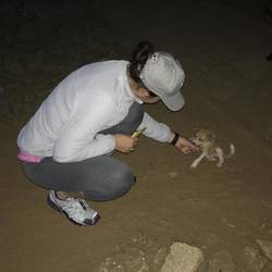Talking to the locals