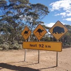 Everything of Australia's wildlife