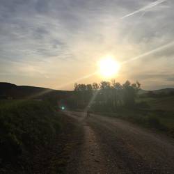 Out with the sunrise