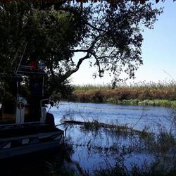 Rückfahrt von unserem super Camp Ngepi Hammer mit dem Treck