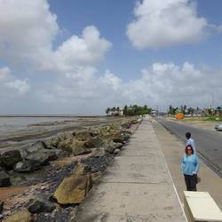 Georgetown's Dutch sea wall. Georgetown is below sea level so ex colonizers built them a sea wall.