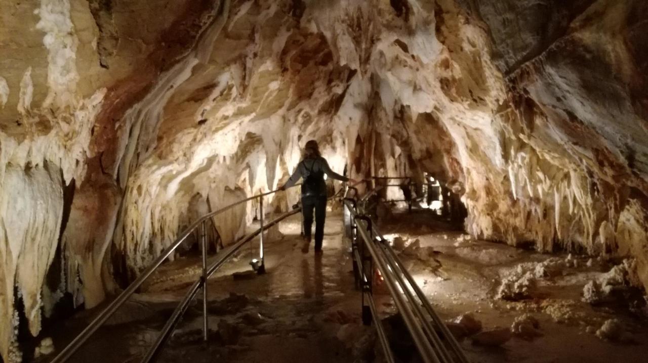 Stalaktiten in der Grotte von Toirano