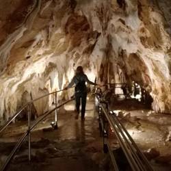Stalaktiten in der Grotte von Toirano