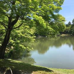 Imperial gardens