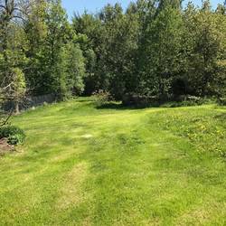 der Garten mit angrenzendem Wildgehege