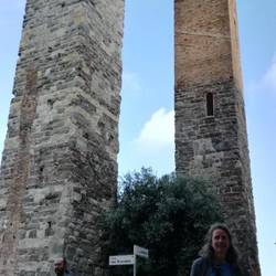 Türme am Hafen von Savona