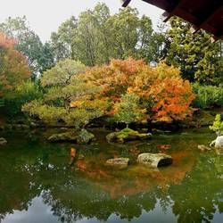 Japanischer Garten