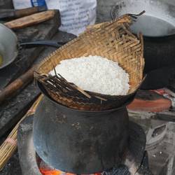 Yummy sticky rice in the making.