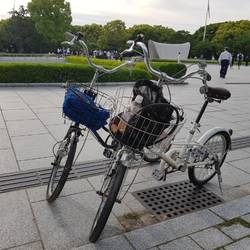 Unsere Flitzer🚲