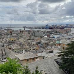 Blick auf Genua