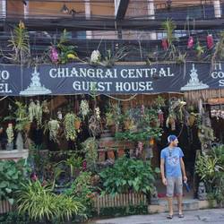 La devanture de notre hostel qui nous donnait l'impression d'être dans la jungle.