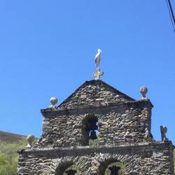 Hello Mr. Stork!