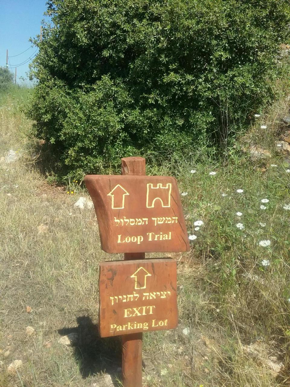Actually it wasn't a trial at all, but quite a pleasant trail!