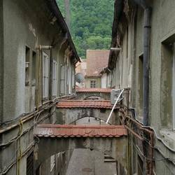 My kitchen window view