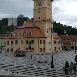 View out my bedroom window