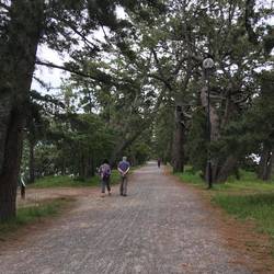 Walking along the isthmus