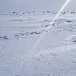 On the sea ice...wind blowing neat formations