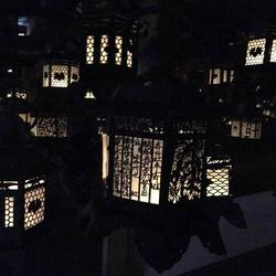 Lanterns in the dark