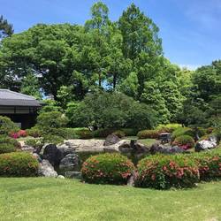 More garden